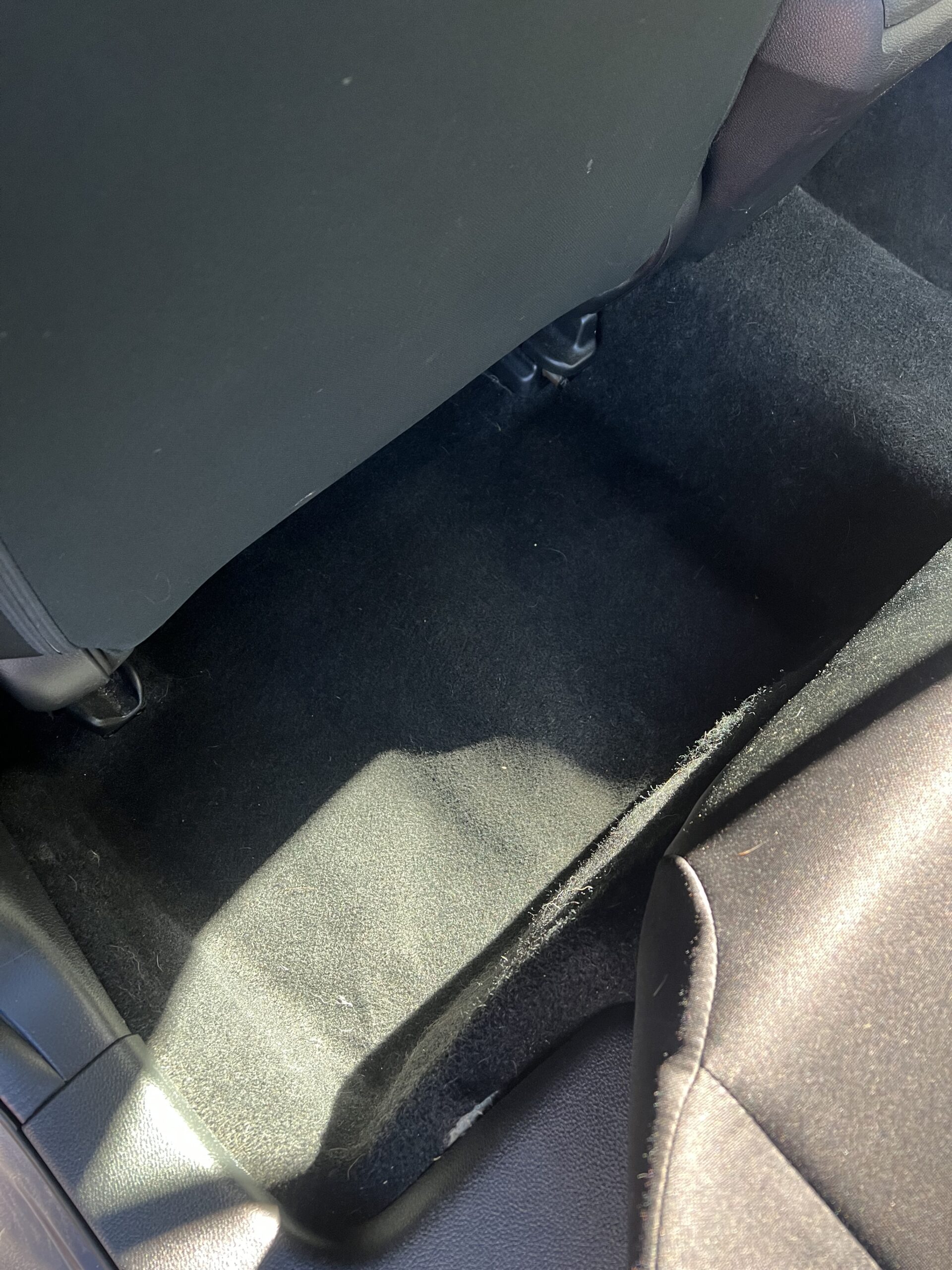 After mold removal