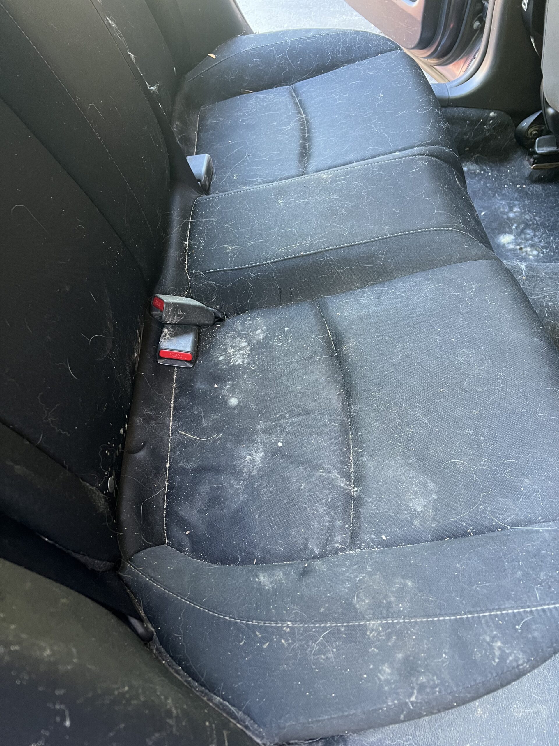 Car interior with mold before treatment